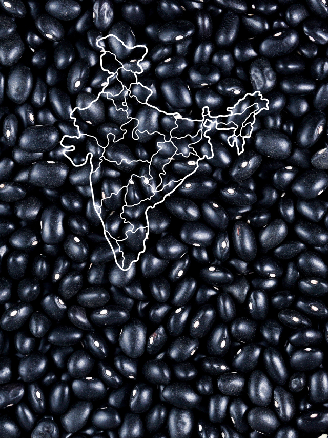 BLACK GRAM