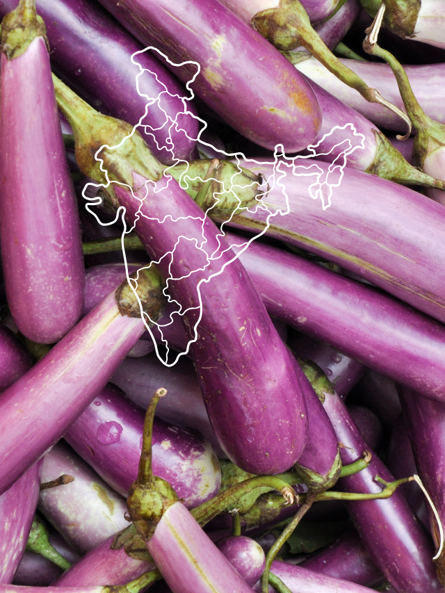 BRINJAL
