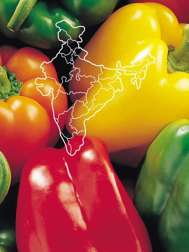 CAPSICUM