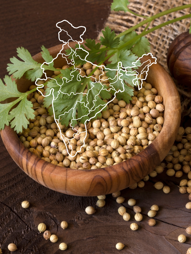 CORIANDER