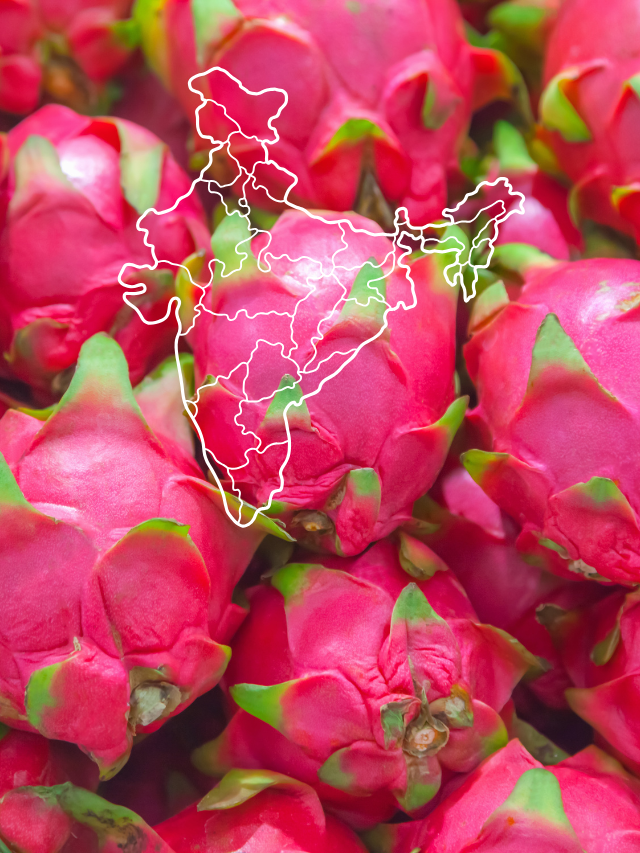 DRAGON FRUIT