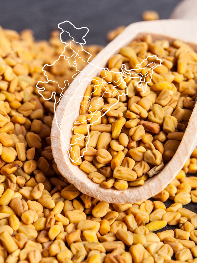 FENUGREEK