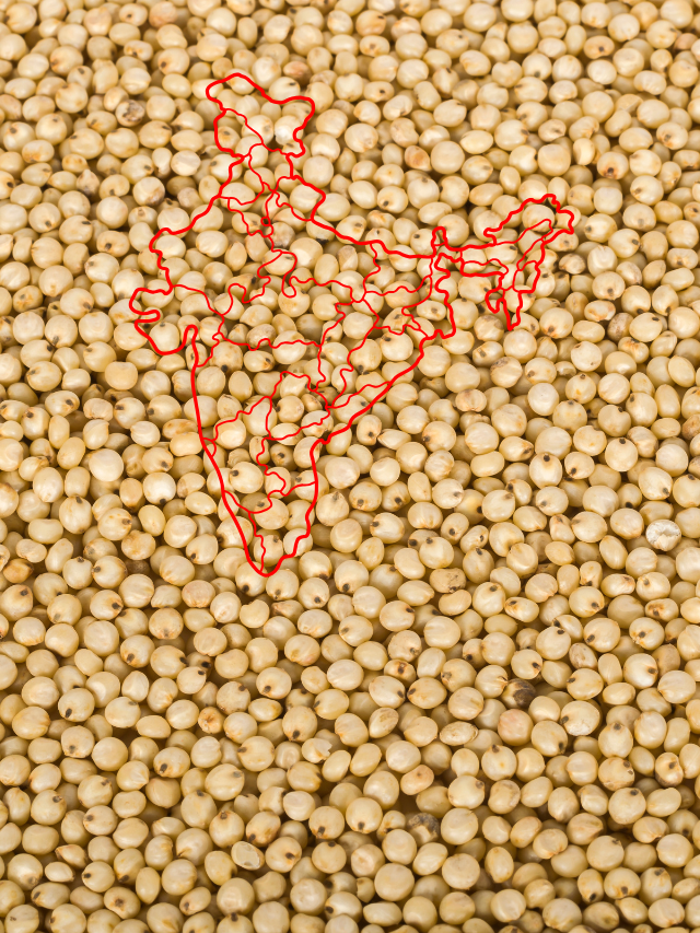 JOWAR