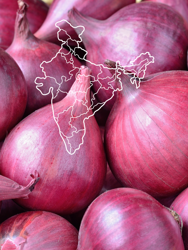 ONIONS
