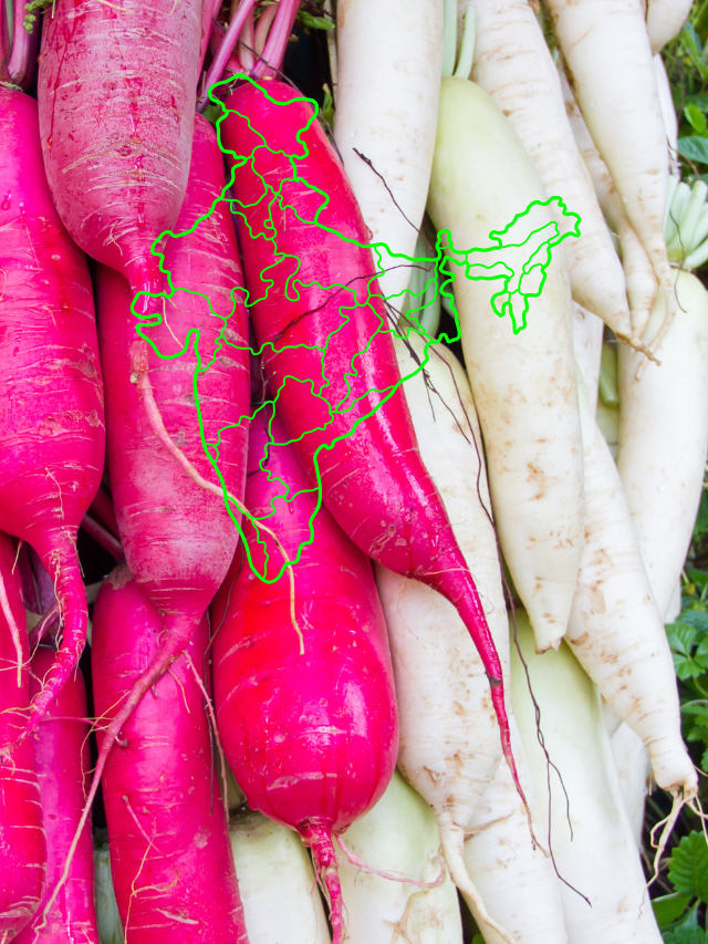 RADISH