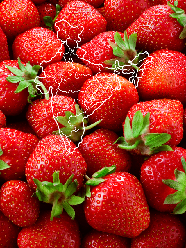 STRAWBERRY